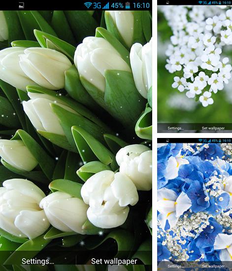 White flowers - бесплатно скачать живые обои на Андроид телефон или планшет.