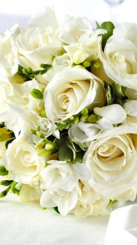Screenshots of the White rose by HQ Awesome Live Wallpaper for Android tablet, phone.
