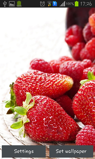 Wild berries - безкоштовно скачати живі шпалери на Андроїд телефон або планшет.