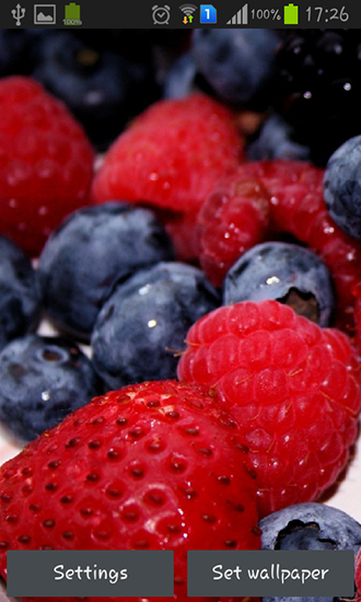 Wild berries - скачать бесплатно живые обои для Андроид на рабочий стол.