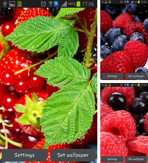 Kostenloses Android-Live Wallpaper Wilde Beeren. Vollversion der Android-apk-App Wild berries für Tablets und Telefone.