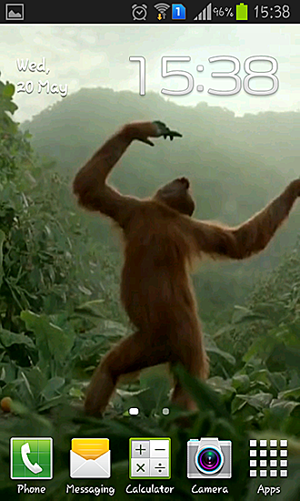 Wild dance crazy monkey - бесплатно скачать живые обои на Андроид телефон или планшет.
