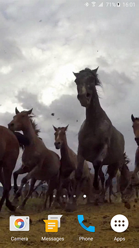 Fondos de pantalla animados a Wild horses para Android. Descarga gratuita fondos de pantalla animados Caballos salvajes.