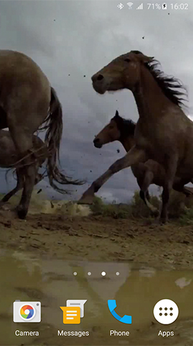 Screenshots von Wild horses für Android-Tablet, Smartphone.