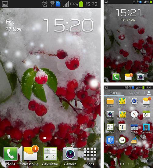 Kostenloses Android-Live Wallpaper Winterbeeren. Vollversion der Android-apk-App Winter berry für Tablets und Telefone.