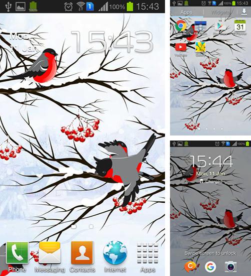 Kostenloses Android-Live Wallpaper Winter: Bullfinch. Vollversion der Android-apk-App Winter: Bullfinch für Tablets und Telefone.