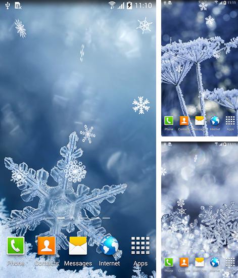 Kostenloses Android-Live Wallpaper Winter. Vollversion der Android-apk-App Winter by Blackbird wallpapers für Tablets und Telefone.