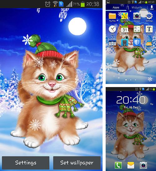 Winter cat - бесплатно скачать живые обои на Андроид телефон или планшет.