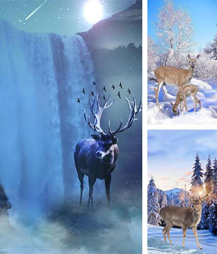Winter deer - бесплатно скачать живые обои на Андроид телефон или планшет.