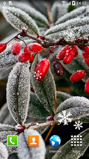 Screenshots of the Winter flowers for Android tablet, phone.