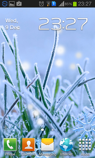 Winter grass