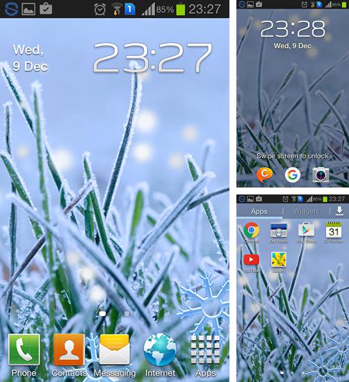 Download live wallpaper Winter grass for Android. Get full version of Android apk livewallpaper Winter grass for tablet and phone.