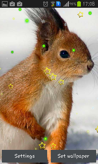 Winter squirrel - безкоштовно скачати живі шпалери на Андроїд телефон або планшет.