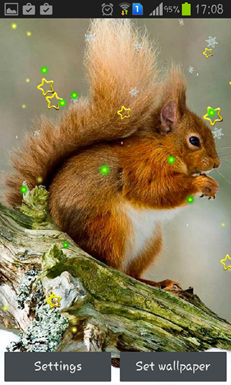 Fondos de pantalla animados a Winter squirrel para Android. Descarga gratuita fondos de pantalla animados Ardilla de invierno.
