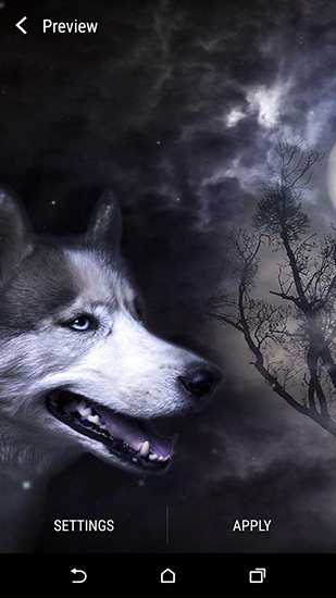 Fondos de pantalla animados a Wolf and Moon para Android. Descarga gratuita fondos de pantalla animados Lobo y Luna .