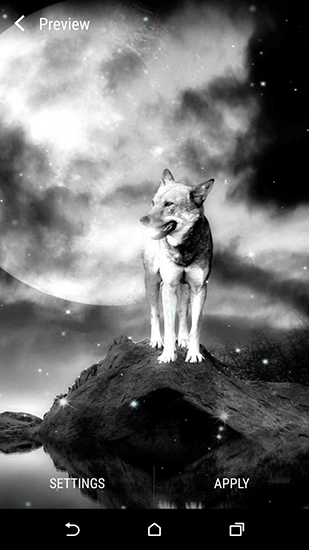 Screenshots of the Wolf and Moon for Android tablet, phone.