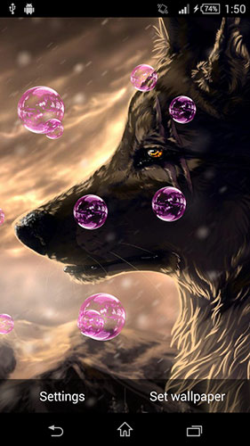 Screenshots of the Wolf animated for Android tablet, phone.