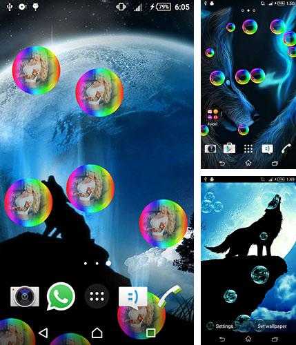 In addition to live wallpaper Spring is coming for Android phones and tablets, you can also download Wolf animated for free.