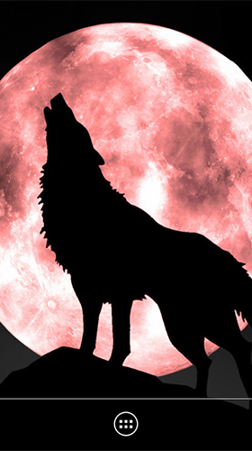 Wolf by orchid für Android spielen. Live Wallpaper Wolf kostenloser Download.