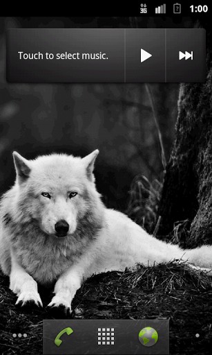 Téléchargement gratuit de Wolves HQ pour Android.
