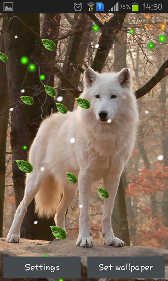 Wolves mistery für Android spielen. Live Wallpaper Mystische Wölfe kostenloser Download.