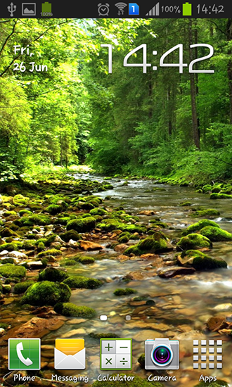 Wonderful forest river