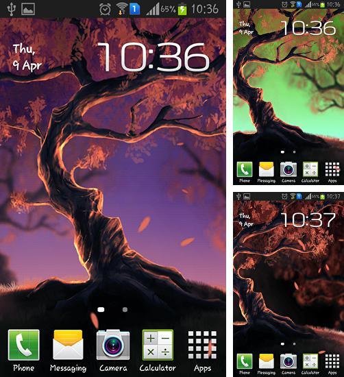 Kostenloses Android-Live Wallpaper Holzland. Vollversion der Android-apk-App Woody land für Tablets und Telefone.