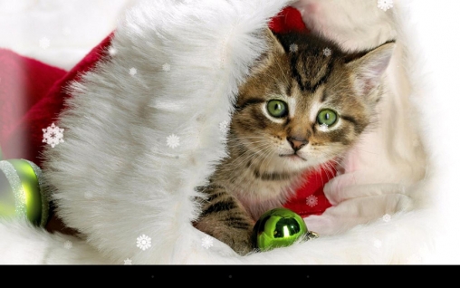 Screenshots of the X-mas cat for Android tablet, phone.