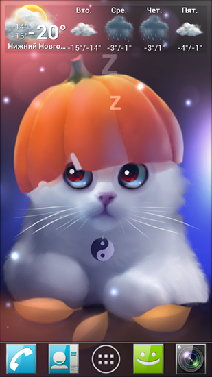 Fondos de pantalla animados a Yang the cat para Android. Descarga gratuita fondos de pantalla animados Gatito Yang.
