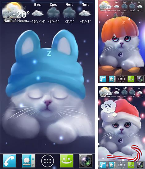 Kostenloses Android-Live Wallpaper Yang die Katze. Vollversion der Android-apk-App Yang the cat für Tablets und Telefone.