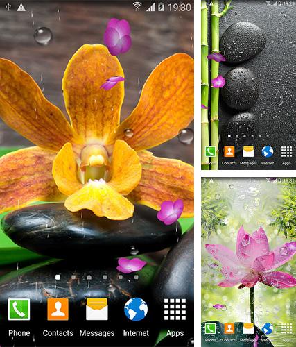 Télécharger le fond d'écran animé gratuit Jardin Zen . Obtenir la version complète app apk Android Zen garden by BlackBird Wallpapers pour tablette et téléphone.