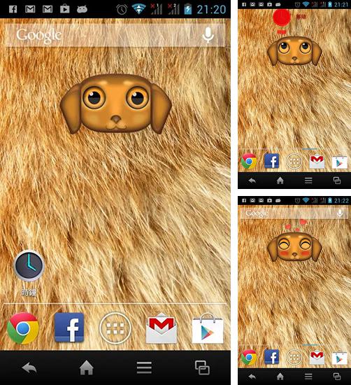 In addition to live wallpaper Kustom for Android phones and tablets, you can also download Zoo: Dog for free.