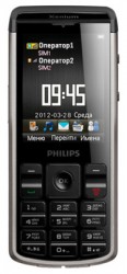 Téléchargez des thèmes sous Philips Xenium Champion X333 gratuitement