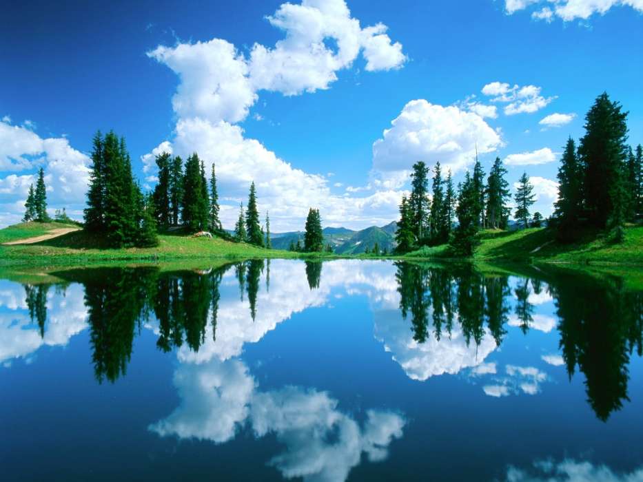 手机壁纸:景观, 水, 树, 天空, #4731