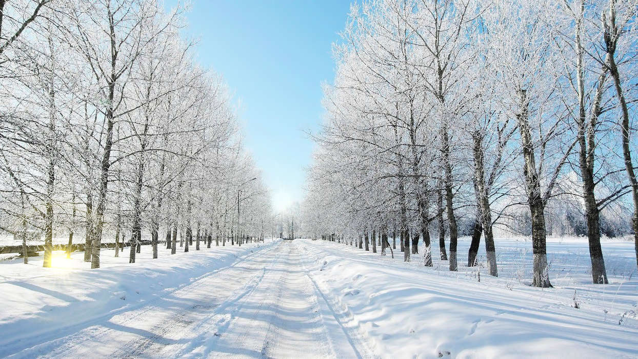 手机壁纸:景观, 冬天, 道路, #31918