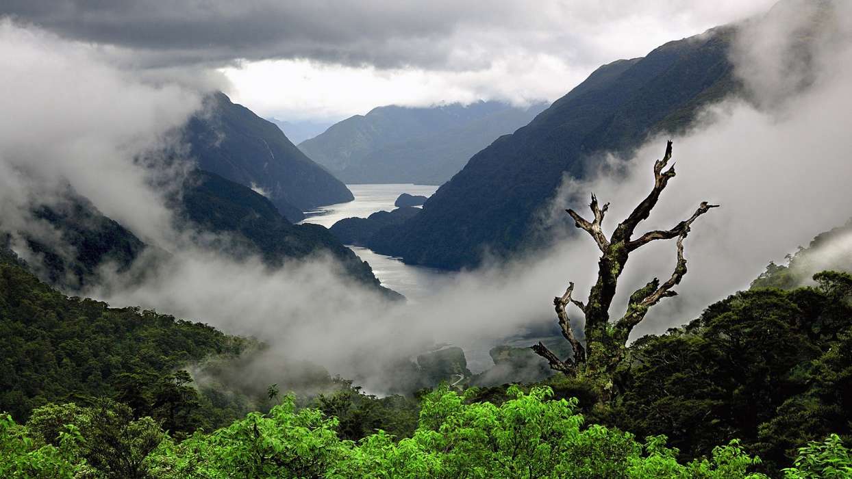 手机壁纸:景观, 河, 山, #38690