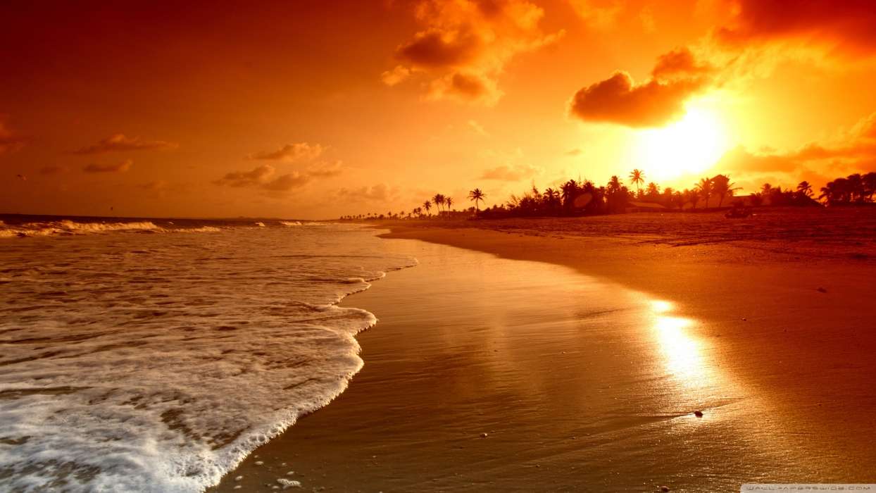 免费下载景观, 日落, 海, 海滩手机壁纸.
