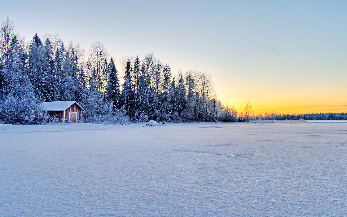 手机壁纸:景观, 冬天, 雪, #45118