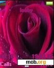 Download mobile theme Crimson Rose