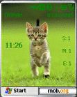 Download mobile theme Little catz