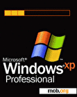 Download mobile theme Virus XP