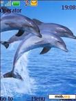Скачать тему delfin