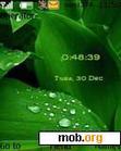 Download mobile theme Swf Animated Water 128x160