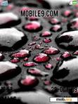 Download mobile theme Water Drops