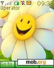 Download mobile theme sunflower