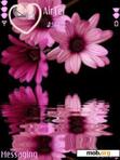 Download mobile theme Flower