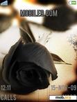 Download mobile theme Black Rose