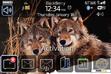Download mobile theme Animals at Night