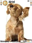 Download mobile theme music dog