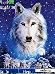 Download mobile theme Wolf